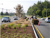 Landform Landscaping in New Traffic Islands