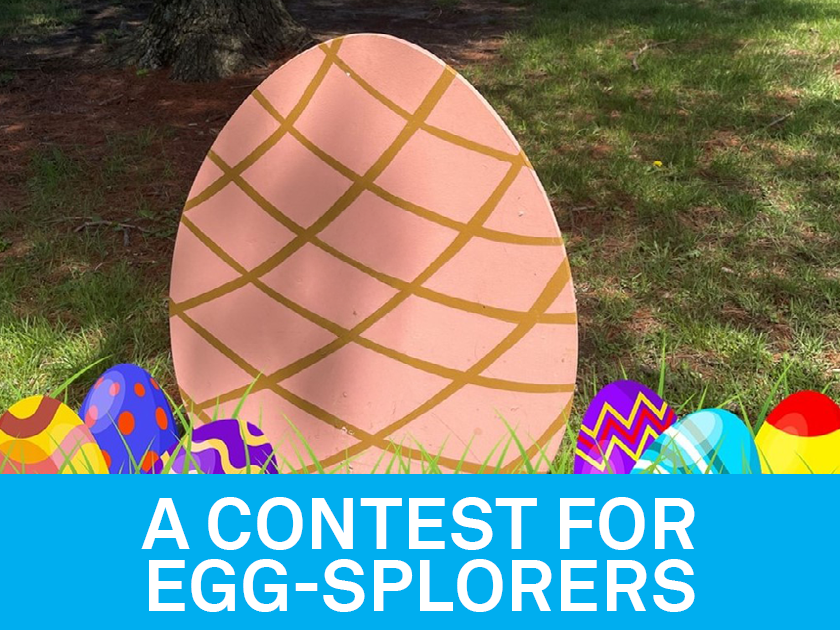 egg splorers