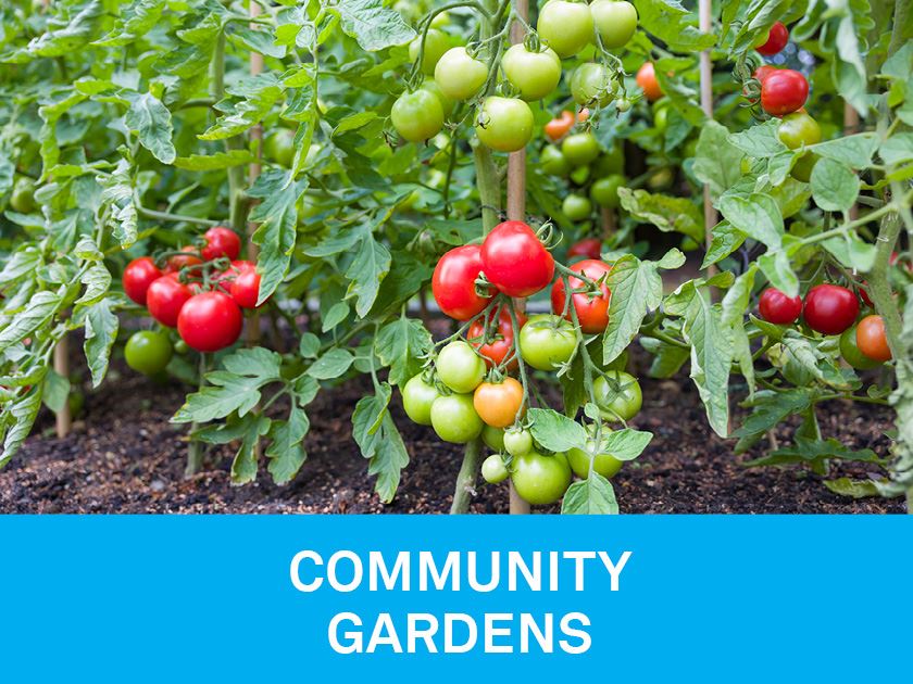 community gardens 4x3