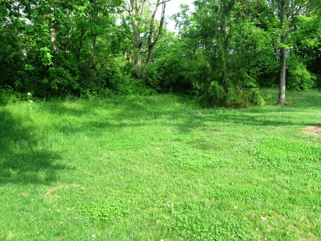 City Implemented Smart Mow Technique